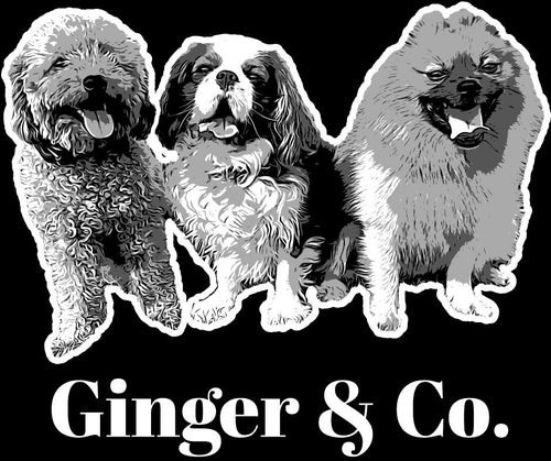 Ginger & Co